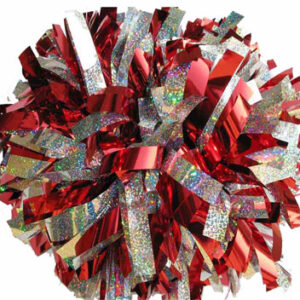 Holographic Pom Rot Silber